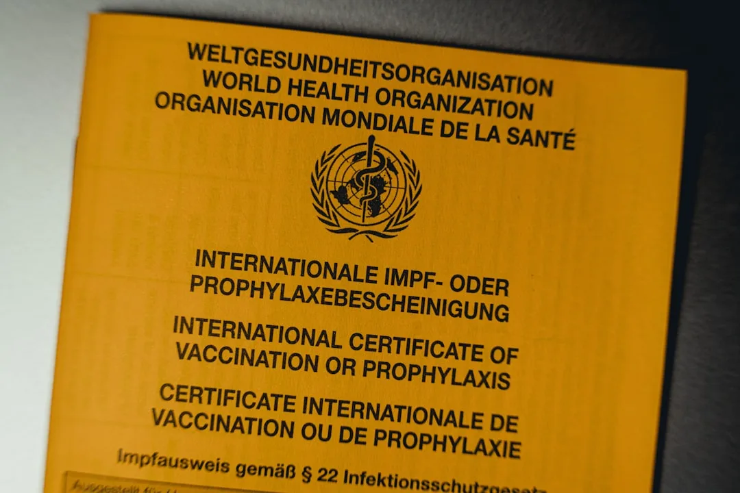 무료 자격증 추천 및 취득 방법 - 자기계발과 스펙업을 동시에 잡는 꿀팁