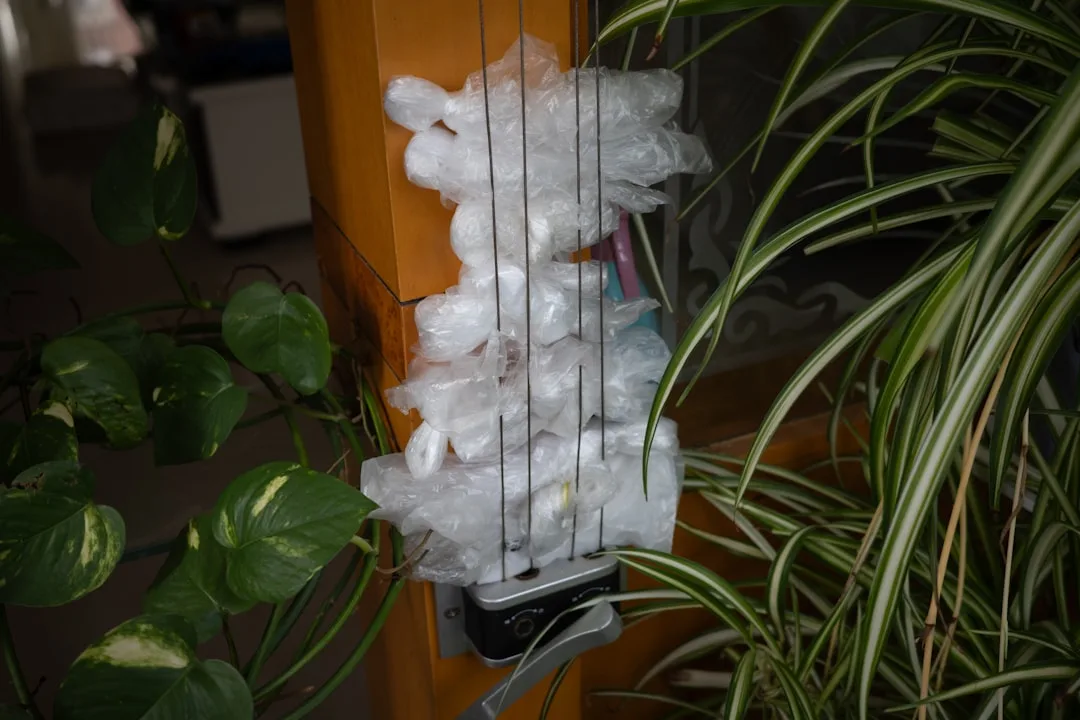 집안 습기 제거 및 곰팡이 예방 꿀팁 - 쾌적하고 건강한 실내 환경 만들기