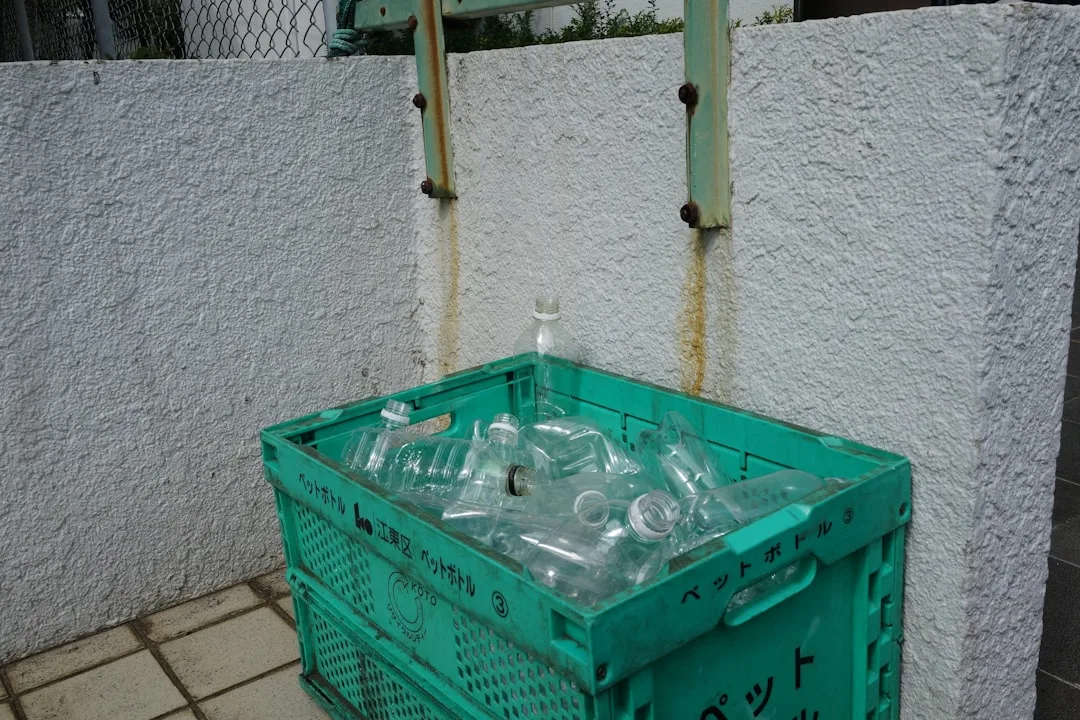 분리수거 잘하는 방법 및 재활용 품목별 배출 가이드 - 환경을 살리는 올바른 습관